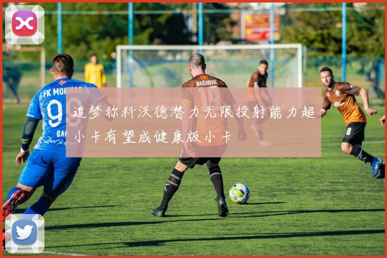 追梦称科沃德潜力无限投射能力超小卡有望成健康版小卡