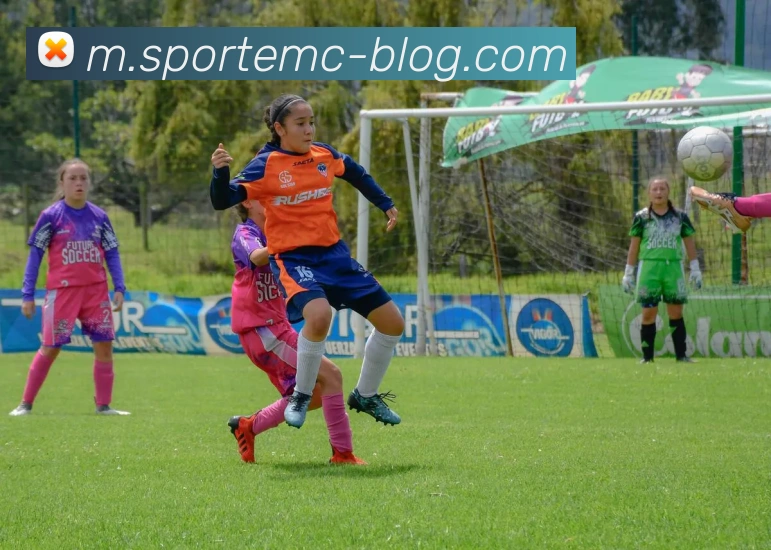 易倍体育平台生态图