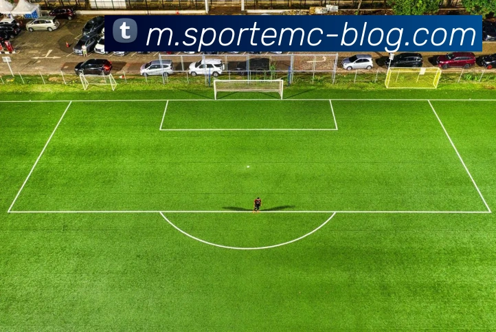 易倍体育APP 封面图